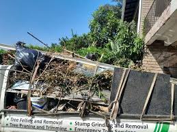 Best Residential Junk Removal  in Mart, TX